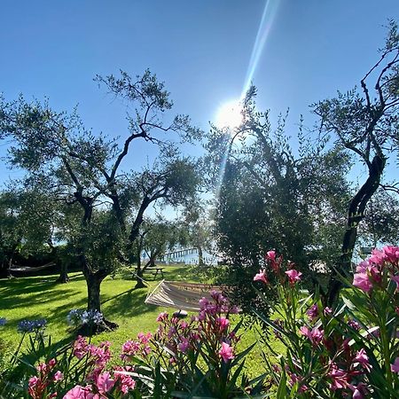 Villa Schindler Manerba del Garda Bagian luar foto