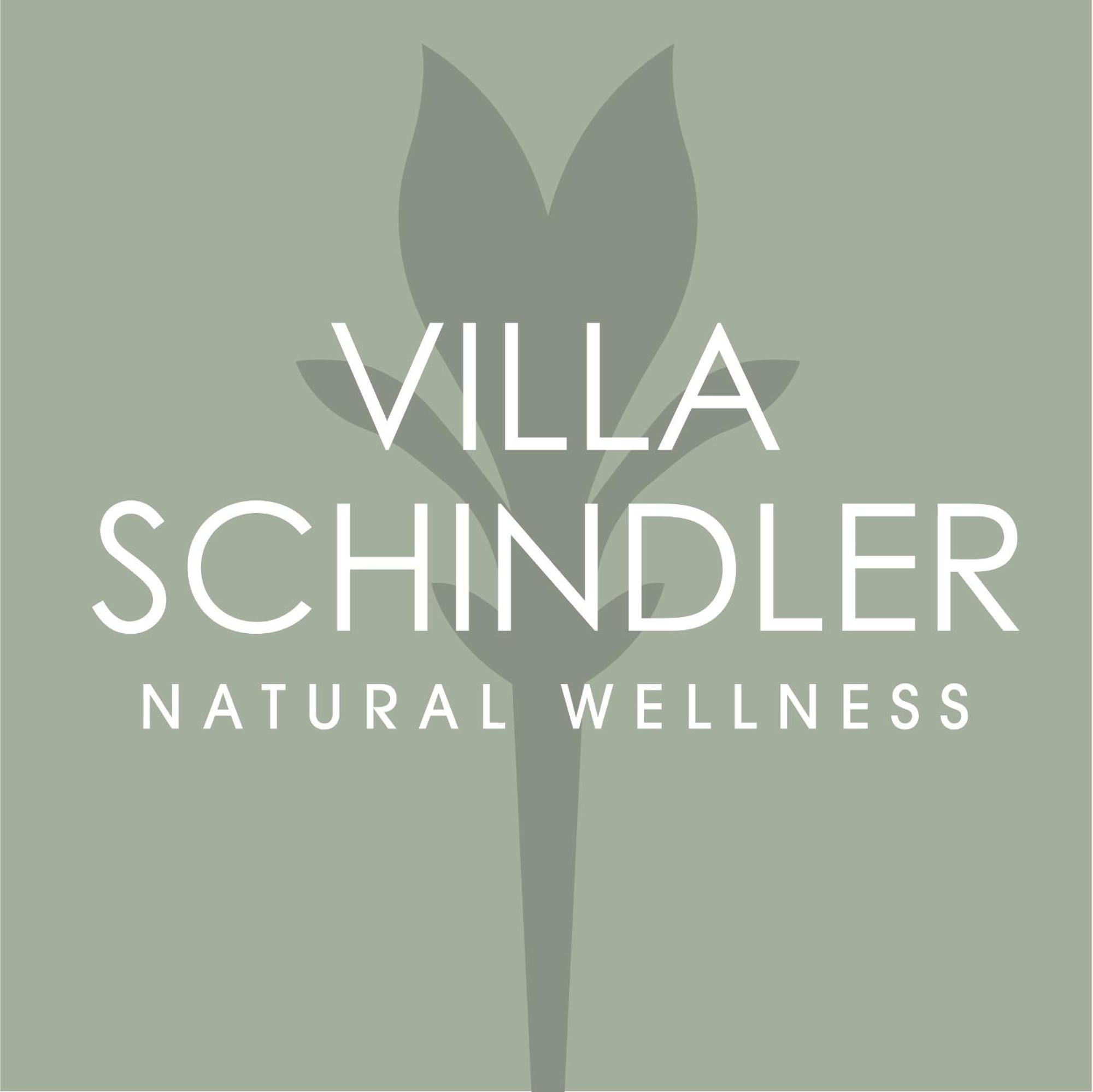 Villa Schindler Manerba del Garda Bagian luar foto